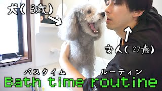 🐶犬のバスタイムルーティンと変人飼い主。【トイプードルのグリィ】【犬】【dog】【toy poodle】
