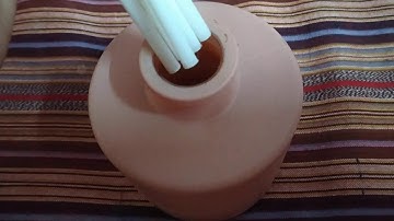 Comparing Peach & Lemon diffusers from Miniso inkjet scent diffuser series.