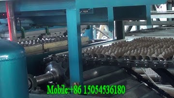 pulp molding machine/ egg tray machine with the single layer drying line