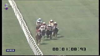 Şubat 18 Eylül 94 İstanbul 1 Koşu Şubat