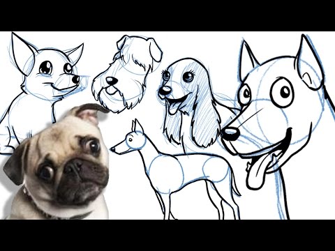 فيديو: كيفية رسم الكلاب من جميع السلالات