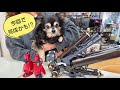 【第6回】もしかして最終回？でっかいプラモ完成するまで終われませんライブ！