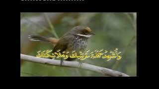 Munif Ahmad - Zikir & Doa Pagi (VCD Music Video)