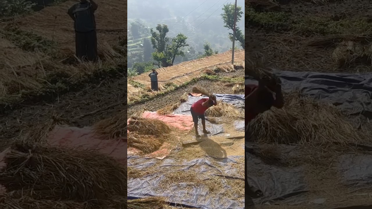 Stop Relying on Intensity — Do This Instead