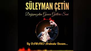 Süleyman Çetin / Değişmezdim Gonca Güllere Seni - By DAMARC1