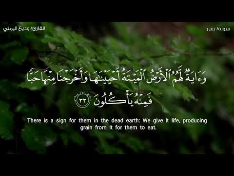 وآية لهم الأرض الميتة أحييناها تلاوة خلابة وماتعة بمقام العجم للشيخ وديع اليمني