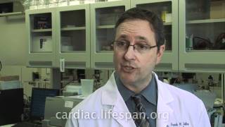 The Cutting Edge of Cardiac Research at Rhode Island Hospital and The Miriam Hospital