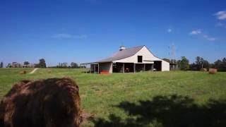 467 Charles McClearan Rd video tour