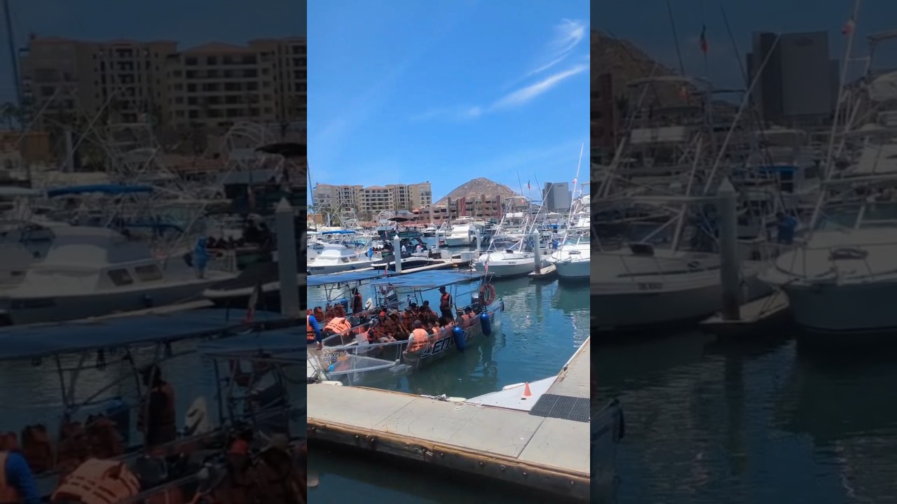 Boats of Cabo San Lucas 🇲🇽 