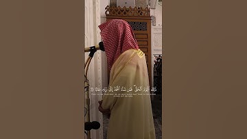 سورة النبأ | د. أحمد بن صابر الغامدي | مسجد قباء