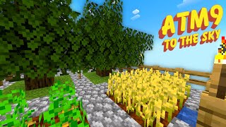 Farming, Upgrading & POWER! | ATM9 To The Sky - Ep. 2