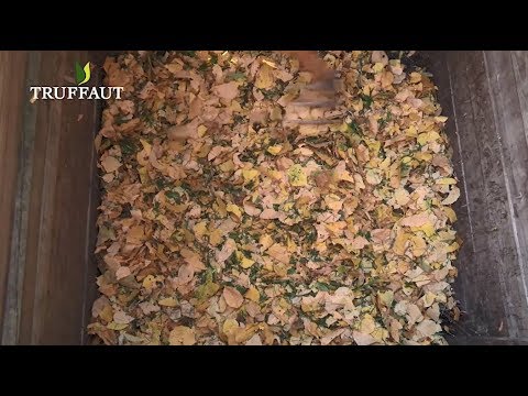 Vidéo: Compost De Feuilles : Peut-on Utiliser Des Feuilles De Noyer Et De Chou ? Comment Composter Les Feuilles Mortes Dans Des Sacs Poubelles ?