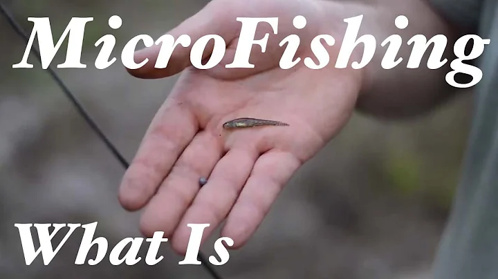 What is MicroFishing