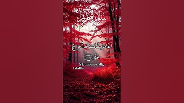 اللهم اِجعل القرآن الكريم ربيع قلوبنا ونور صدورنا و ذهاب أحزاننا 🤲 #القرآن_الكريم #احاديث #الجميع