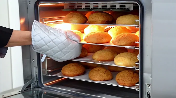 YXD 4A Convection Oven