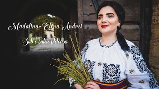 Mădălina-Elena Andrei - Sub o salcie pletoasă (Priceasnă)