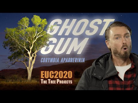 EUC2020 - The Ghost Gum