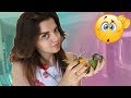 My Bird Tries to Mate With My Sister | Genna Meets The Senegal Parrots