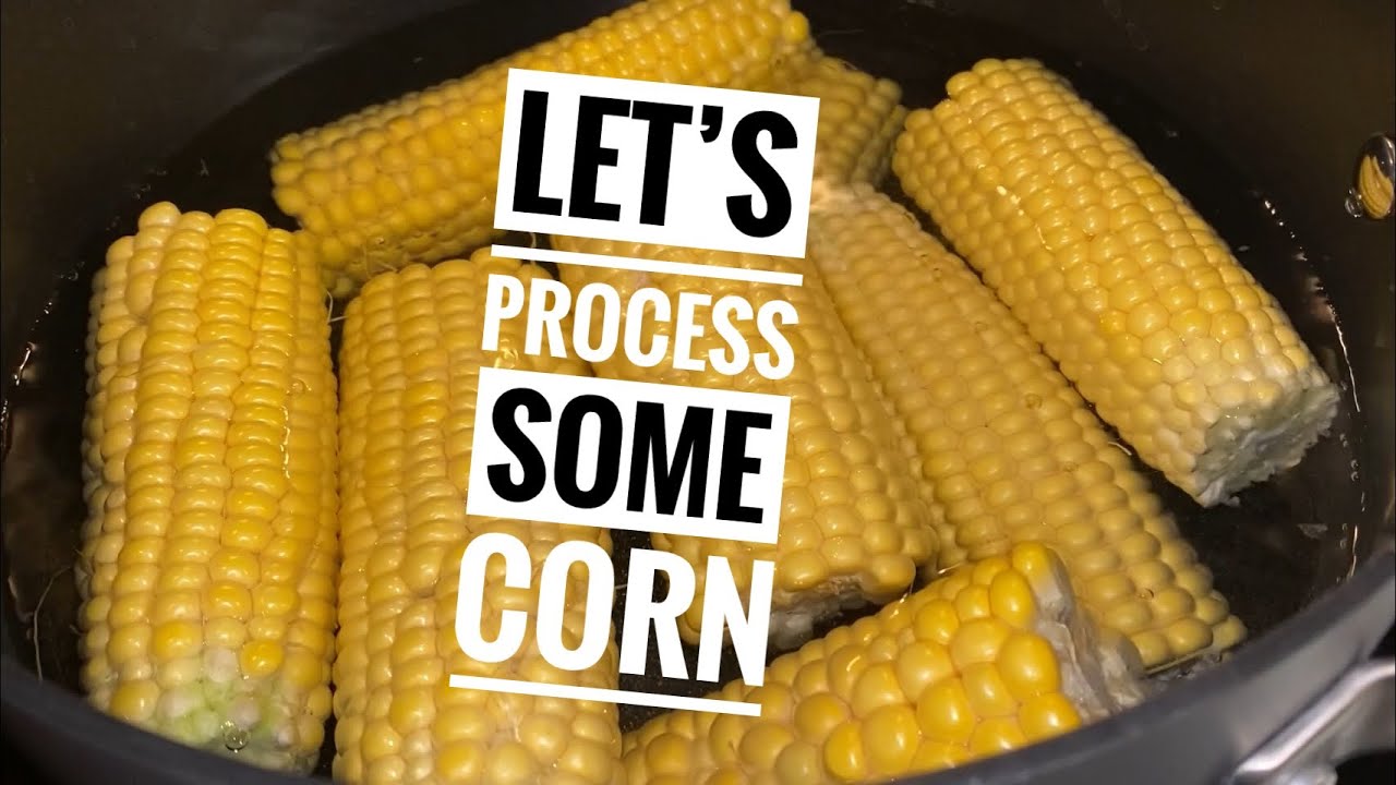 Let’s Process Some Corn 🌽 - YouTube