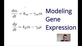 Lesson 1: Central Dogma ODE Model