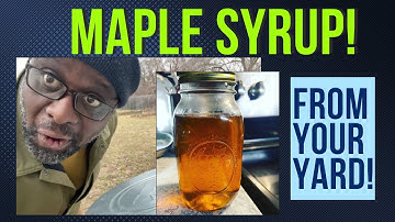 HOMEMADE MAPLE SYRUP | Easier Than You Think | Part 1