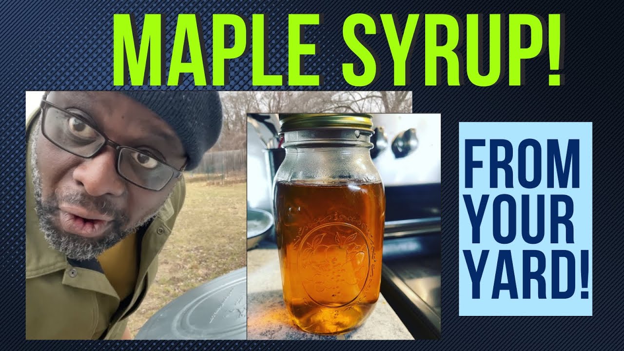 HOMEMADE MAPLE SYRUP | Easier Than You Think | Part 1 - YouTube