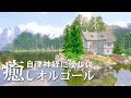 【癒しオルゴールBGM】 自律神経に優しい心が和むリラックス音楽