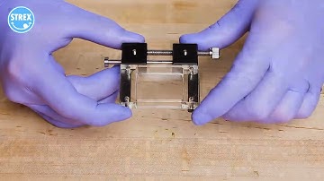 Strex Manual Cell Stretching System