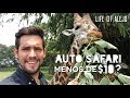 GUATEMALA | Auto Safari Chapin: Viajé a AFRICA por MENOS de 10 Dolares?! | Life of Alejo