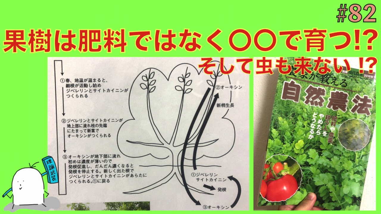 【#82】果樹の生育は肥料ではない！強い木を作るために大事な理解!