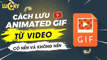 Animated Gif | Lưu file chuyển động gif có nền và không nền từ video