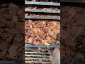 Mushroom Drying Machine-Energy Efficient Commercial Dehydrator#foodprocessing #dryingmachine #dryer