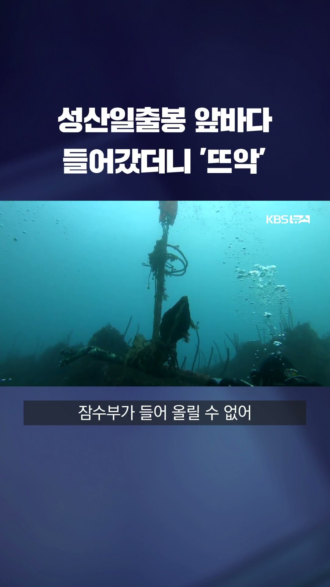 성산일출봉 앞바다 들어갔더니…청정 제주 바다 어쩌나 #shorts / KBS