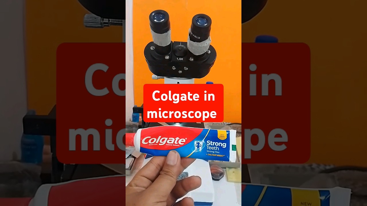 colgate in microscope 