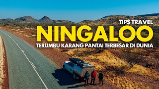 Download Lagu Tips Travel Ningaloo - Terumbu Karang Pantai Terbesar Di Dunia | Ningaloo Ep1 MP3 Download Lagu Tips Travel Ningaloo - Terumbu Karang Pantai Terbesar Di Dunia | Ningaloo Ep1 MP3