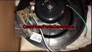 Genuine OEM Lennox/Ducane Inducer Motor 80M52