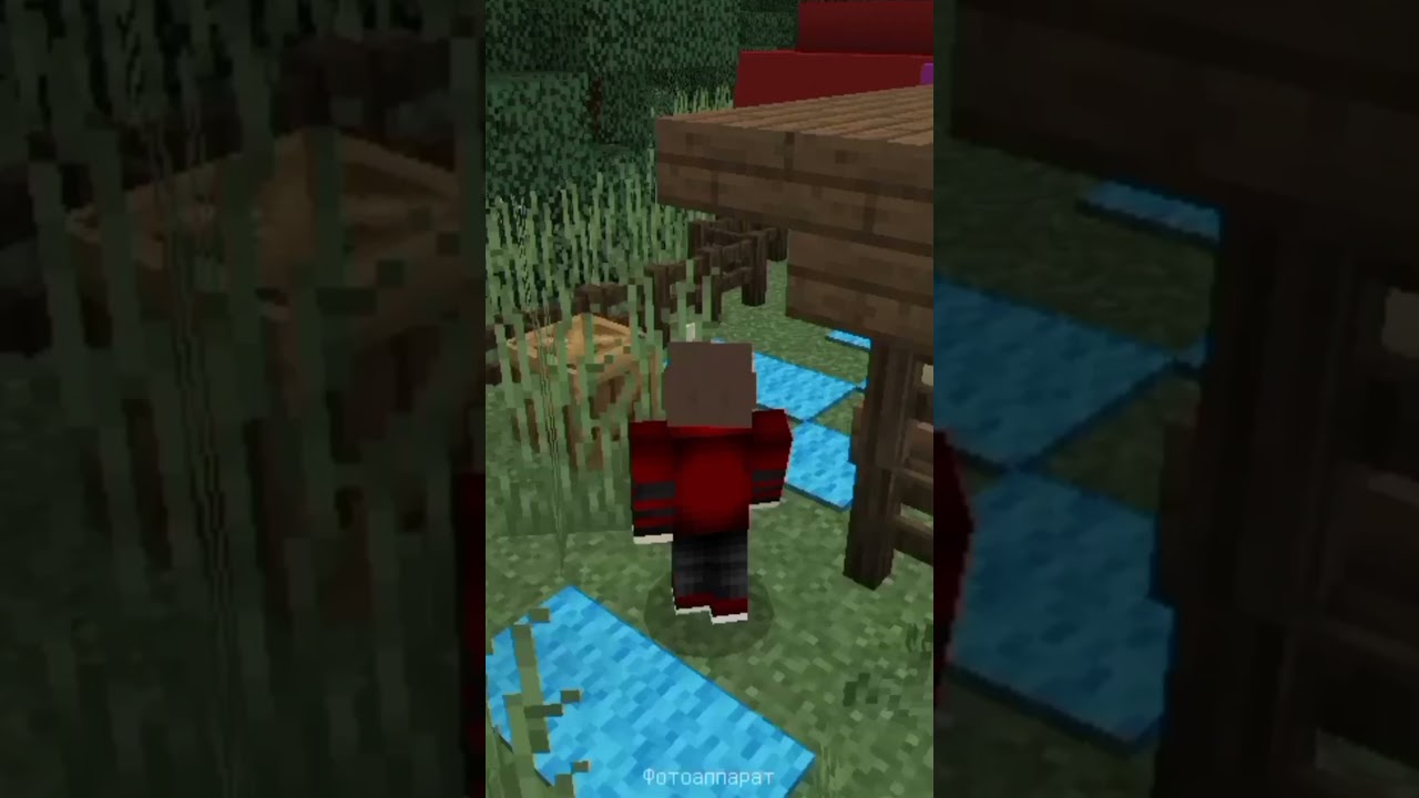 В любой ситуации не забывай про фотку 