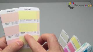 Pantone Pastels & Neons