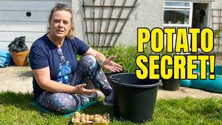 How To Grow Potatoes In Containers UK