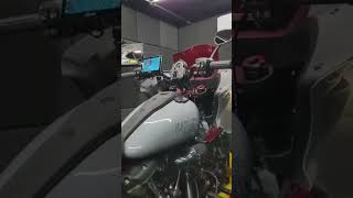 Stage 1 na Low rider ST #harleydavidson #gorilla #remap #motociclistico #aventura
