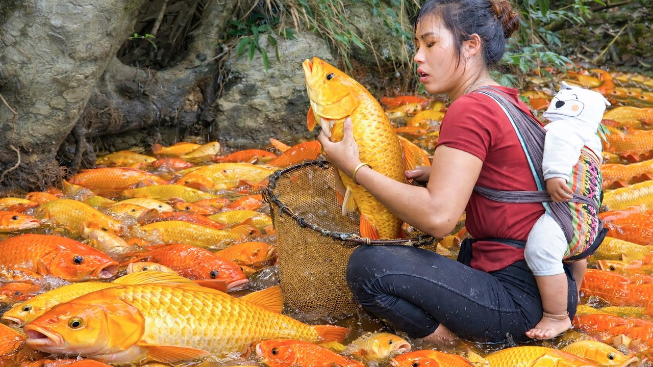 How to Cook Food for Pigs - Harvest Huge herd of Fish to Sell at Market with Single mom and Children