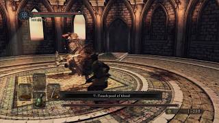 DARK SOULS II: SCHOLAR OF THE FIRST SIN | Boss Battle - Dragonrider (PS4/PS5)
