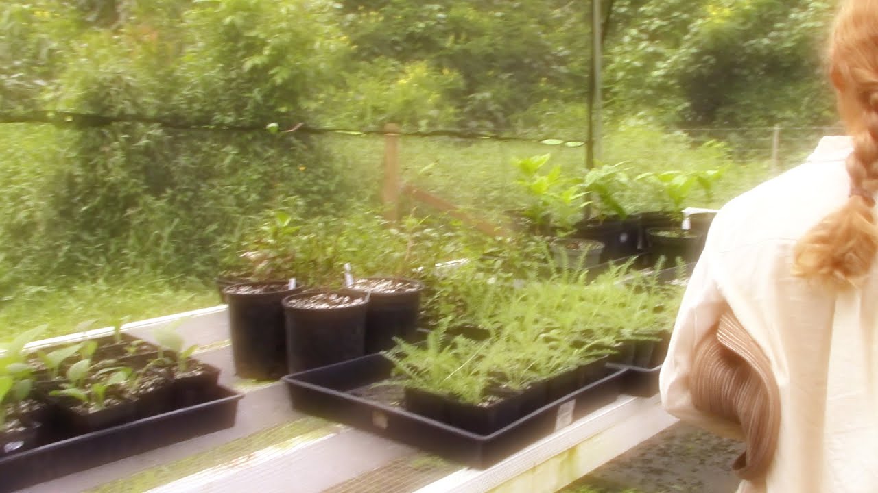 Where Does Your Medicine Come From? YouTube