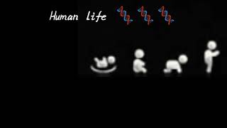 Man life 🧬🧬🧬 Fast to last (AtoZ)