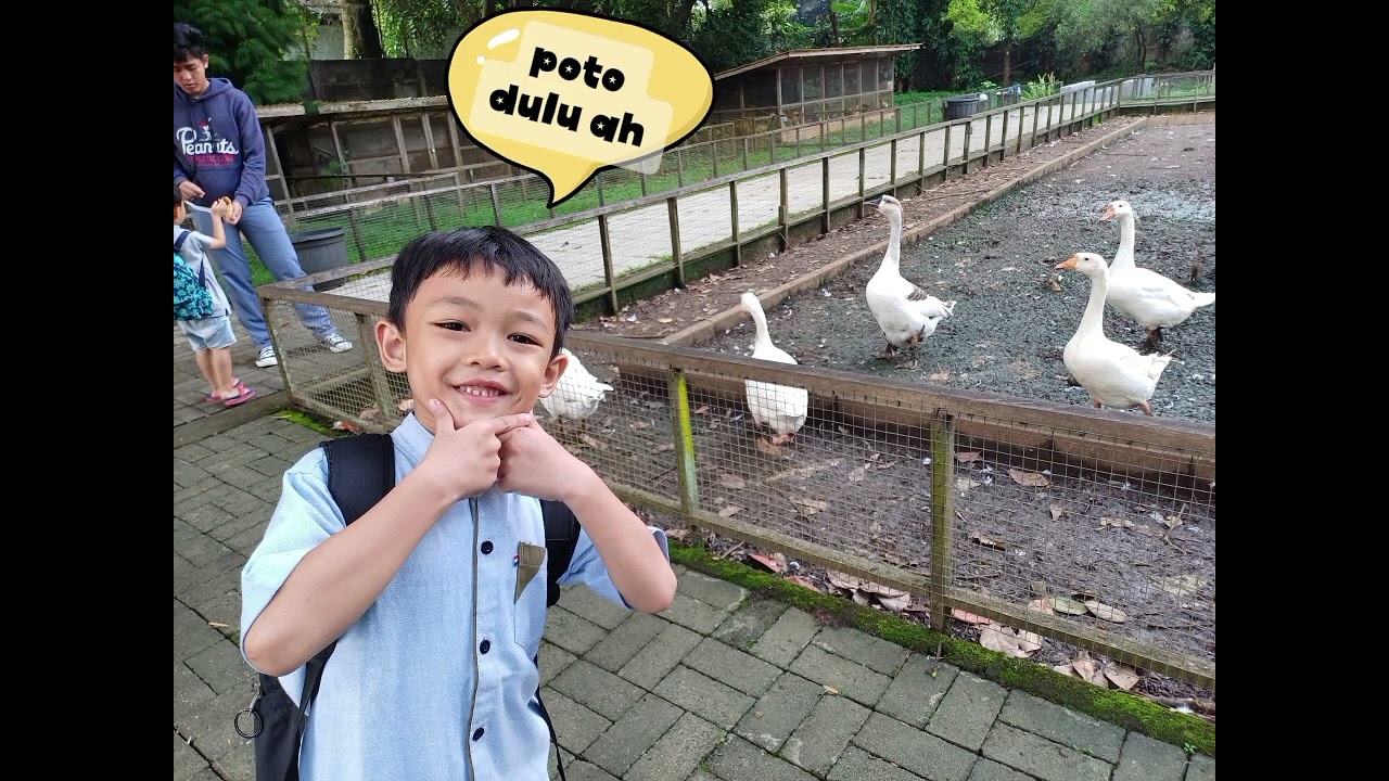 Farm trip #kuntum #bogor 