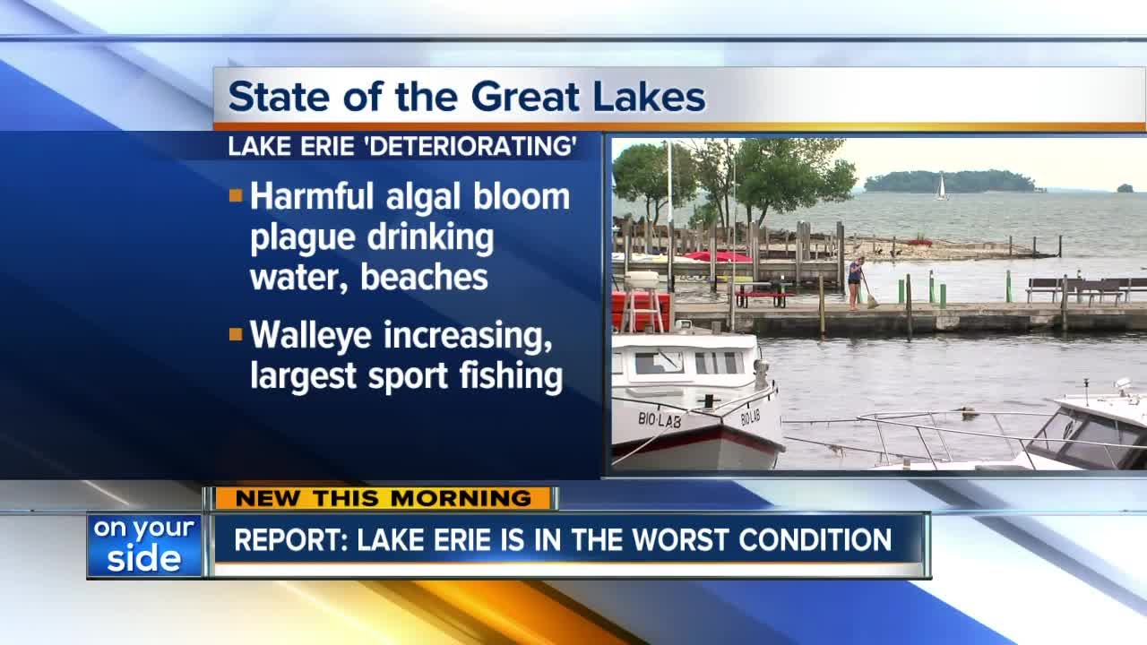 State of the Great Lakes study 2017 YouTube