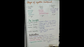 Jerome bruner stages of cognitive development.#shorts#education#ctet#university