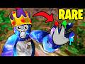 The RAREST Gorilla Tag Cosmetics