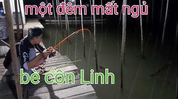 CÂU CÁ GẦN BÈ - MỘT ĐÊM MẤT NGỦ TẠI BÈ CỒN LINH - BỎ XUỐNG LÀ ĂN - VIDEO 279
