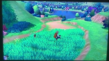 Shiny Chewtle After 256 Knocked